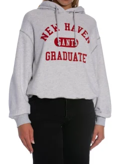 GANT HOODIE GRAPHIC PALE GREY MELANGE
